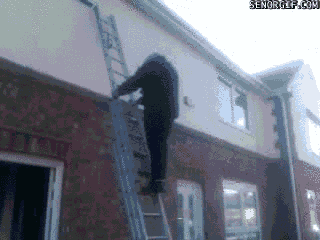 funny-gifs-how-not-to-use-a-ladder.gif